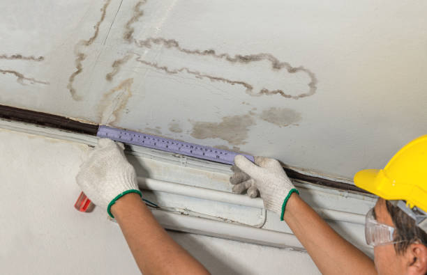 Reliable Basement Water Removal contractor in Gretna, FL by Water Damage Irwin